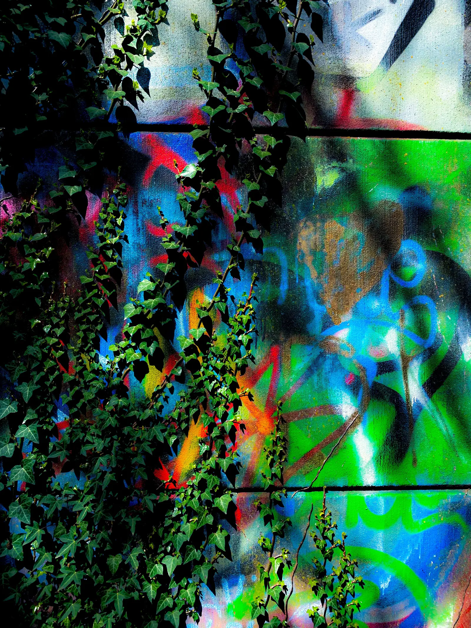 Muro con grafiti de colores cubierto de hiedra
